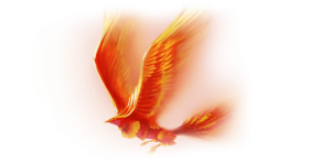 ФЕНИКС - Конструктор лендинговых интернет-магазинов.